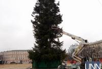 Праздник приближается: в Киеве монтируют главную елку страны