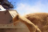 Минагрополитики прогнозирует урожай зерна на уровне более 60 млн тонн