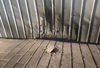 В Сумской области произошел взрыв возле дома депутата