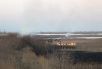 Накануне Пасхи в Бердянске подожгли заказник с заповедными лиманами