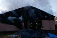 В конюшне под Киевом произошел пожар: погибли лошади
