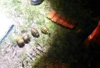 В Киеве нашли тайник с оружием, боеприпасами и взрывчаткой