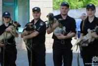 Київським поліцейським подарували цуценят бельгійської вівчарки