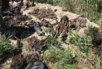 В полиции прокомментировали выявление вещей погибших под Иловайском бойцов