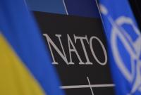 Пристайко: НАТО еще не сформировал политику в отношении Крыма