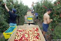 Украинские заробитчане на втором месте по влиянию на экономику Польши