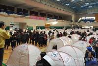 В Южной Корее произошло землетрясение магнитудой 4,6