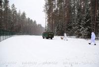 Белорусские пограничники задержали украинца, ему грозит до трех лет