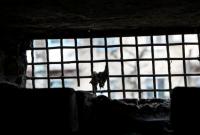 Боевики предложили обмен пленными 27 декабря