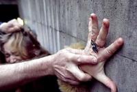 Мужчина пытался изнасиловать женщину, когда она выгуливала собаку