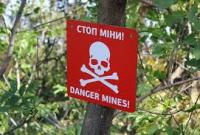 С начала апреля пиротехники ГСЧС обезвредили 73 взрывоопасных предмета