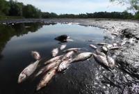 В Европе из-за жары пересыхают водоёмы