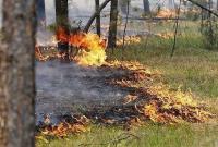 Украинцев предупредили про самый высокий уровень пожарной опасности