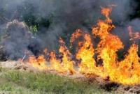 По Украине объявили самый высокий уровень пожарной опасности