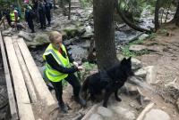 На Говерле до сих пор ищут пропавшего ребенка